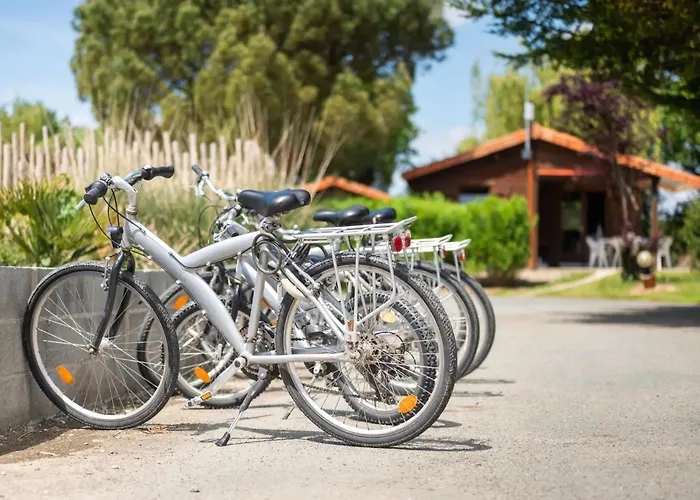 Kamp alanı Confort 16 Saint-Gervais (Vendee)